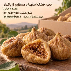 فروش انجیر خشک استهبان